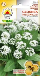 czosnek-niedzwiedzi-025g-toraf-aromatyczny-wieloletni-leczniczy