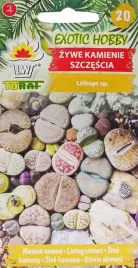 kaktus-mieszanka-egzotyczne-nasiona-02g-nasiona-egzotyczne-10szt-toraf