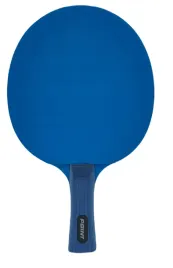 rakietka-do-tenisa-stolowego-point-blue