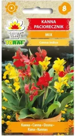 kanna-paciorecznik-mix-1g-nasiona-kwiatow-wieloletnie-toraf
