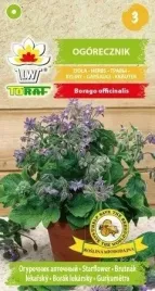 ogorecznik-2g-leczniczy-miododajny-aromatyczny-toraf-nasiona-ziola