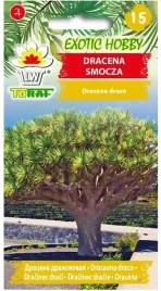 dracena-smocza-5-sztuk-drzewo-egzotyczne-nasiona-kwiatow-toraf