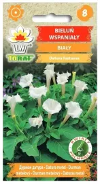 bielun-wspanialy-bialy-03g-nasiona-kwiatow-pachnacych-toraf