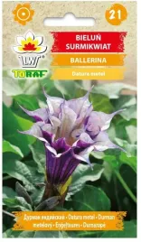 bielun-surmikwiat-ballerina-02g-nasiona-kwiatow-bardzo-ozdobne-toraf