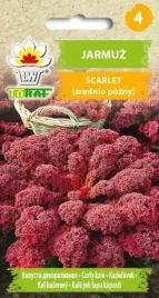 jarmuz-czerwony-scarlet-bogaty-w-witaminy-odporny-nasiona-toraf