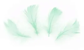 piorka-dekoracyjne-wypelnienie-50-szt-zielone-prezentow-na-choinke-swieta