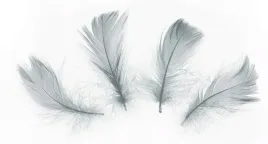 piorka-dekoracyjne-piora-wypelnienie-50-szt-szare-prezent-na-swieta-choinke