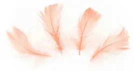 piorka-dekoracyjne-piora-wypelnienie-50szt-lososiowe