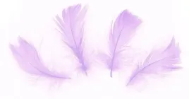 piorka-dekoracyjne-piora-wypelnienie-50szt-fiolet-swieta-na-choinke-prezent