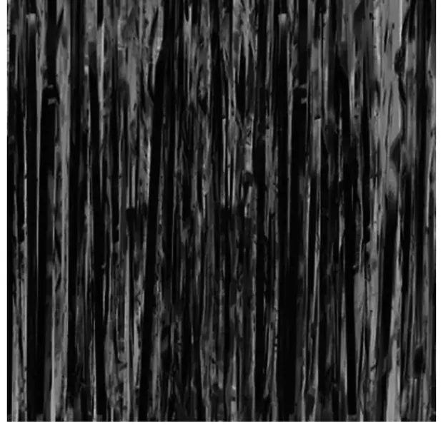 KURTYNA samoprzylepna czarna zasłona 100 x 200 sylwester halloween zasłona