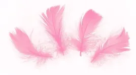 piorka-dekoracyjne-piora-wypelnienie-50-szt-rozowe