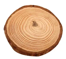 dekoracja-drewniana-okragla-krazek-krazki-kolka-z-drewna-8-szt-2-3-cm-diy