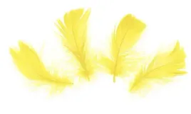 piorka-dekoracyjne-piora-wypelnienie-50-szt-zolte-kreatywne-diy-rekodzielo