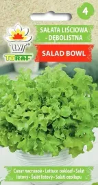 salata-lisciowa-debolistna-salad-bowl-1g-karlowa-nasiona-toraf