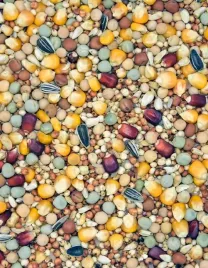 karma-dla-golebi-rozplodowo-lotowa-rls-mdm-25-kg