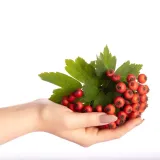 suplement-diety-colfarm-glog-90-tabletek-postac-tabletki