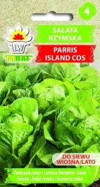 salata-rzymska-parris-island-cos-wiosna-lato-caloroczna-nasiona-toraf