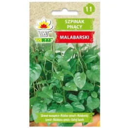 szpinak-malabarski-pnacy-bardzo-smaczny-leczniczy-nasiona-toraf
