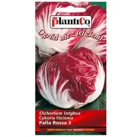 cykoria-lisciowa-czerwona-palla-rossa-plenna-2g-nasiona-plantico