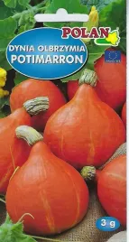 polan-dynia-potimarron-3g-nasiona-orzechowa-aromatyczna-5g-plantico