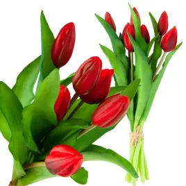 piekny-bukiet-gumowanych-tulipanow-czerwonych-jak-zywe-silikonowe-czerwone