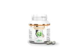 andrographis-paniculata-ekstrakt-90-kaps-jan-oruba
