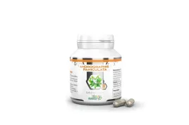 andrographis-paniculata-ekstrakt-90-kaps-jan-oruba