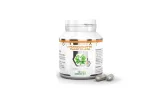 andrographis-paniculata-ekstrakt-90-kaps-jan-oruba-postac-kapsulki