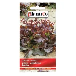 salata-debolistna-czerwona-redin-05g-nasiona-02-g-plenna-plantico