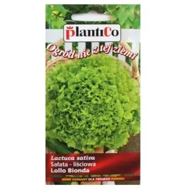 salata-lisciowa-zielona-lollo-bionda-nasiona-05g-karbowana-plantico