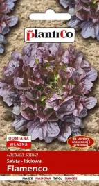 salata-lisciowa-flamenco-0-5-g-nasiona-karbowana-plenna-plantico