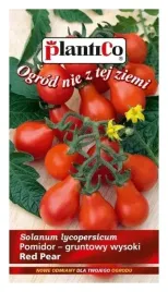 pomidor-koktajlowy-gruszkowy-red-pear-nasiona-plenny-na-przetwory-plantico