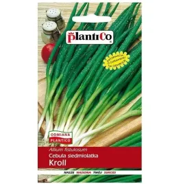 cebula-siedmiolatka-kroll-nasiona-warzyw-2g-plenna-plantico