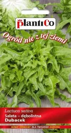 salata-debolistna-zielona-dubacek-05g-odporna-plenna-plantico