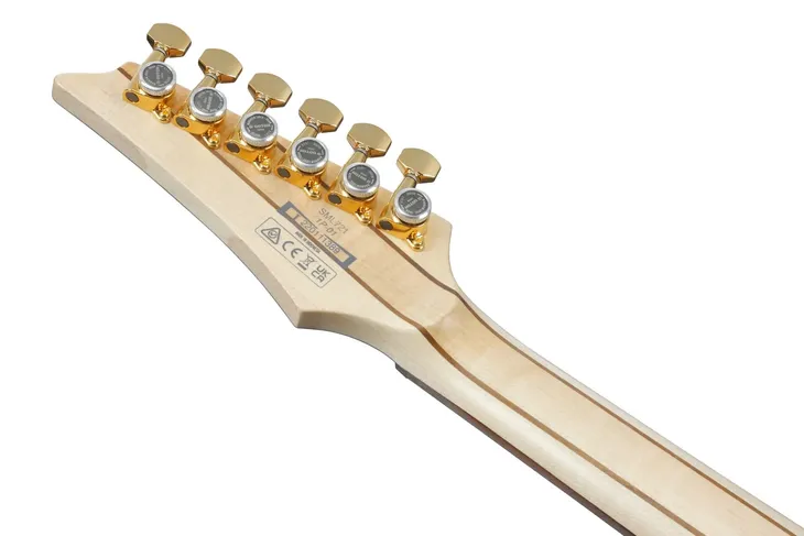 ibanez-sml721-rgc-gitara-elektryczna-rodzaj-superstrat
