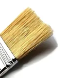 pedzel-kaloryferowy-63mm-marka-prolex