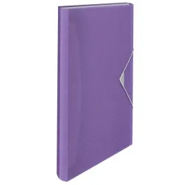 teczka-z-przegrodami-esselte-colour-breeze-lawenda