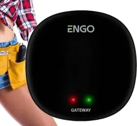 bramka-internetowa-do-urzadzen-smart-engo
