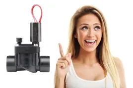 elektrozawor-1-pgv-100g-b-zawor-hunter-gw-gw-24v