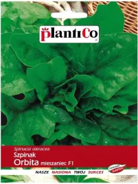 szpinak-orbita-tworzy-duze-rozety-mieszaniec-f1-plenny-nasiona-plantico