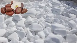 bialy-kamien-dekoracyjny-kamien-ozdobny-do-ogrodu-4-8cm-20kg