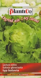 salata-lodowa-blonde-de-paris-0-5g-typ-batavia-plenna-nasiona-plantico