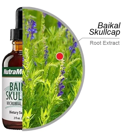 baikal-skullcap-nutramedix-60ml-stan-nowy