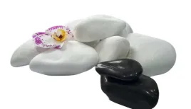 kamien-bialy-otoczak-thassos-grecki-6-10cm-20kg