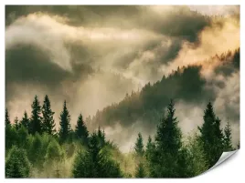 fototapeta-do-salonu-sypialni-las-we-mgle-krajobraz-efekt-3d-natura-450x300