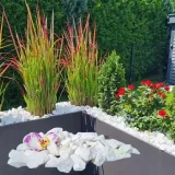 thassos-grys-kamien-snieznobialy-brokat-dekoracyjny-ogrodowy-16-32mm-20kg-marka-gawlik