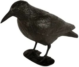 bardzo-duzy-kruk-odstraszacz-ptakow-golebi-szpakow