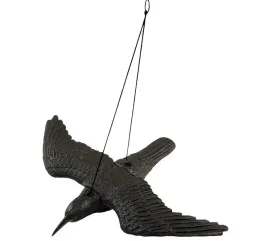 duzy-kruk-w-locie-odstraszacz-ptakow-golebi-szpaki