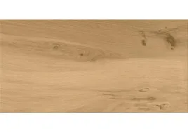 plytki-podlogowe-gres-drewnopodobne-bezowe-30x60