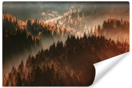 fototapeta-do-salonu-las-we-mgle-wschod-slonca-natura-pejzaz-450x300